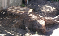 East-West Bay Stump Removal Safety